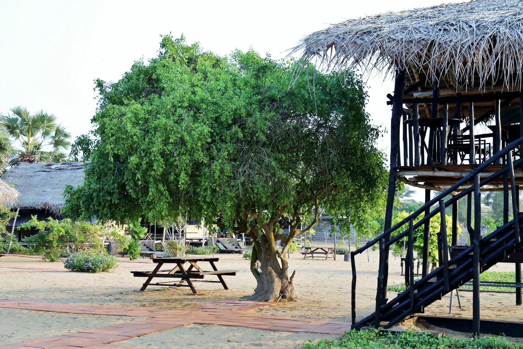 קירינדה The Beach Camp Yala מראה חיצוני תמונה